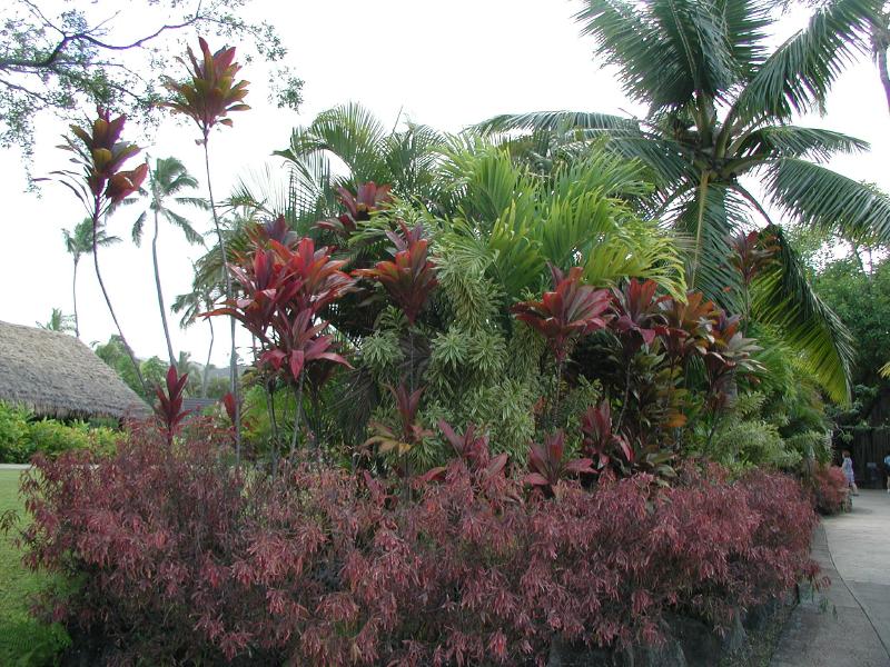 062702.PolynesianCC68
