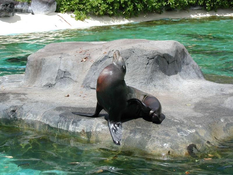 062702.SeaLifePark29