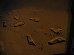 062602.WaikikiBeach06
