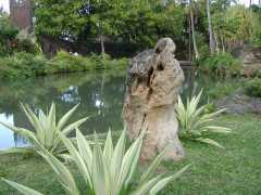 062702.PolynesianCC67